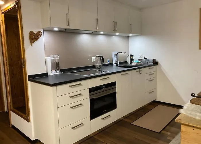 House Melezes C - Charming And Well-being 체르마트